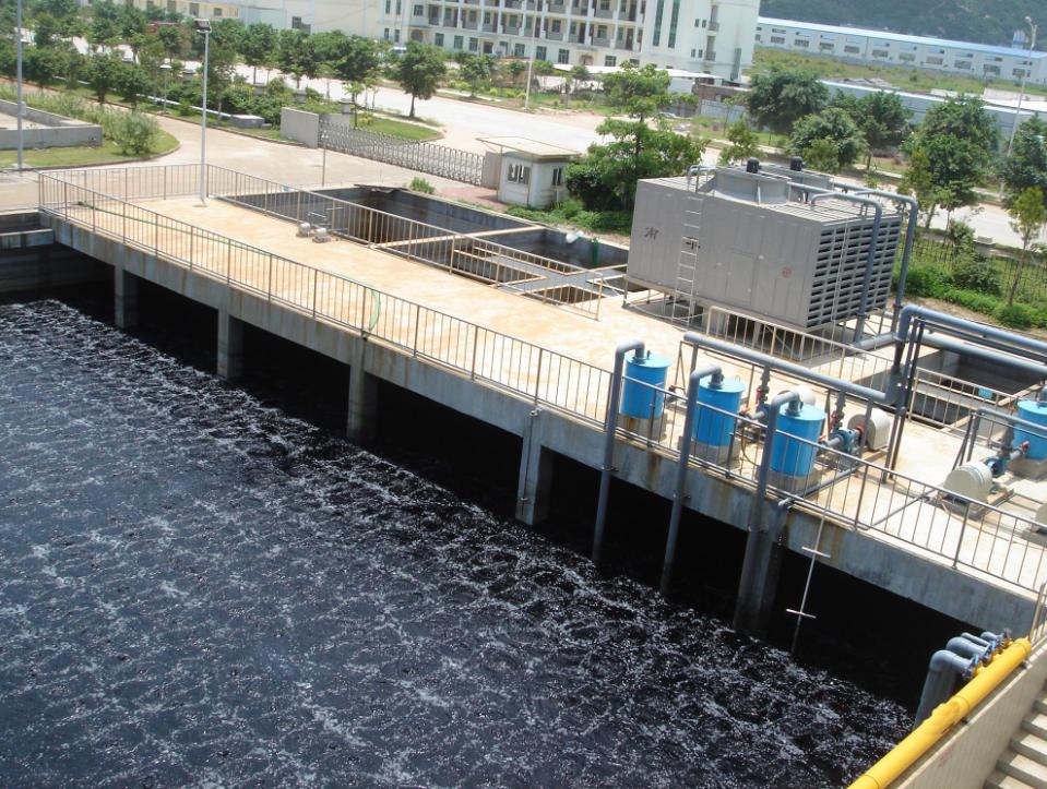 222.jpg